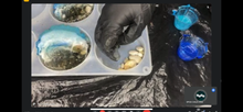 Cargar imagen en el visor de la galería, CLASE DE OCEAN ART: TECNICA 3D