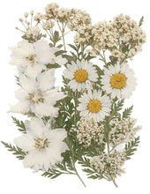 Cargar imagen en el visor de la galería, Flores secas