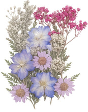 Cargar imagen en el visor de la galería, Flores secas