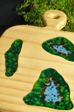 Cargar imagen en el visor de la galería, Bandeja con Mango: Encapsulado de mini bosque
