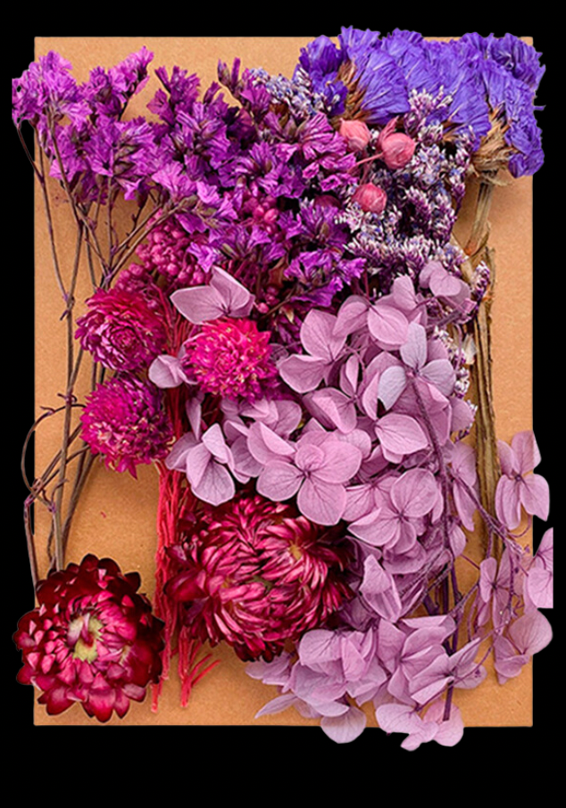 PACK FLORES SECAS