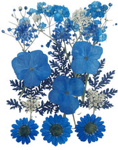 Cargar imagen en el visor de la galería, Flores secas
