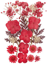 Cargar imagen en el visor de la galería, Flores secas
