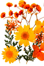 Cargar imagen en el visor de la galería, Flores secas
