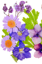 Cargar imagen en el visor de la galería, Flores secas
