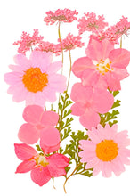 Cargar imagen en el visor de la galería, Flores secas
