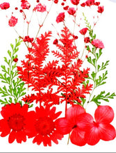 Cargar imagen en el visor de la galería, Flores secas
