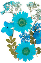Cargar imagen en el visor de la galería, Flores secas
